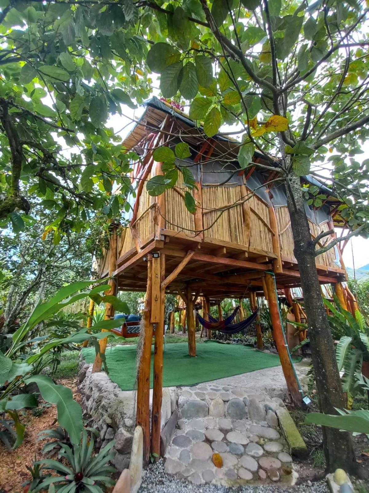 Villa Sonia Eco-Hostel Gigante Exteriér fotografie