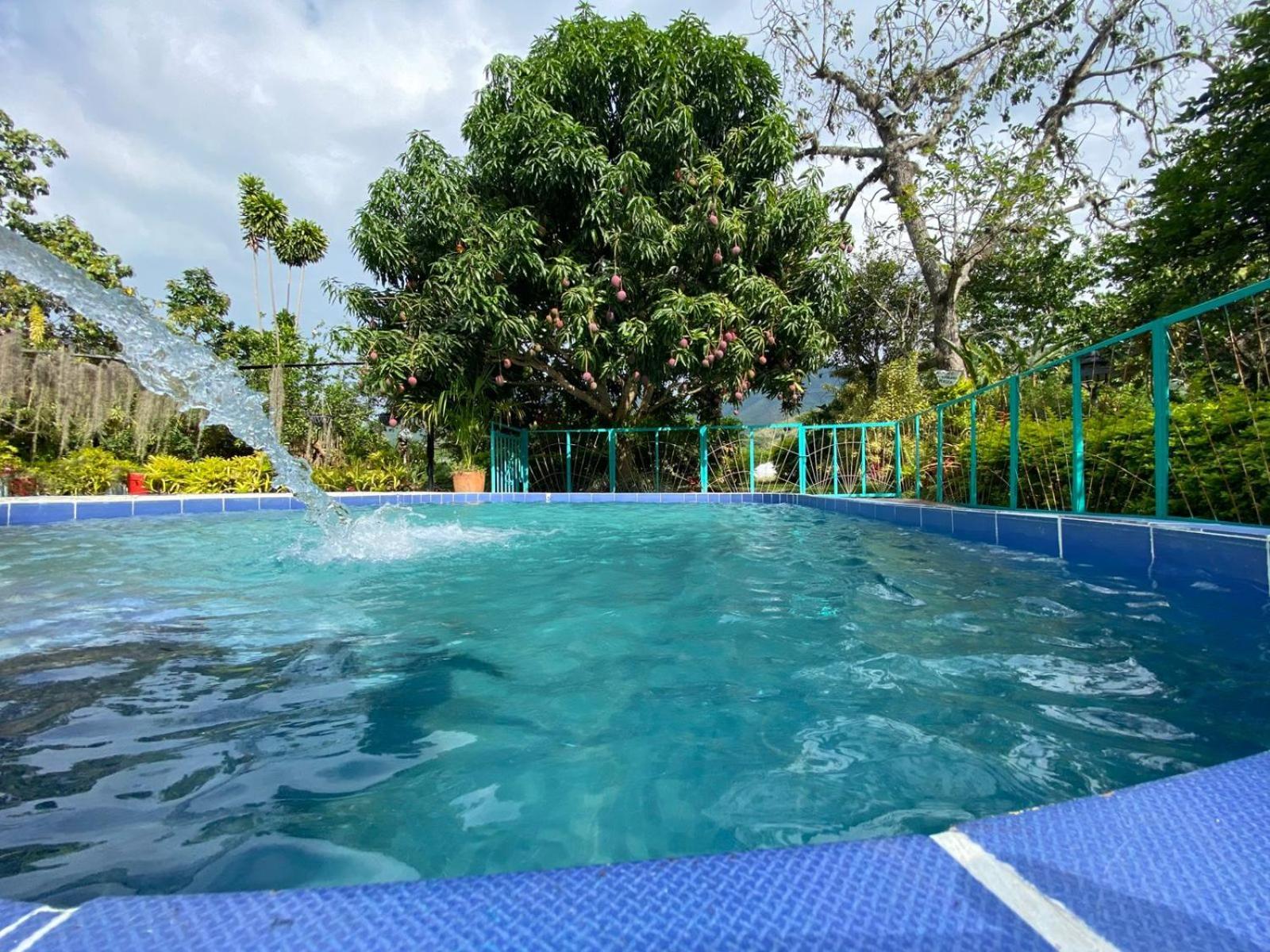 Villa Sonia Eco-Hostel Gigante Exteriér fotografie